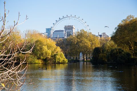 View of The London Eye from St James's park.
